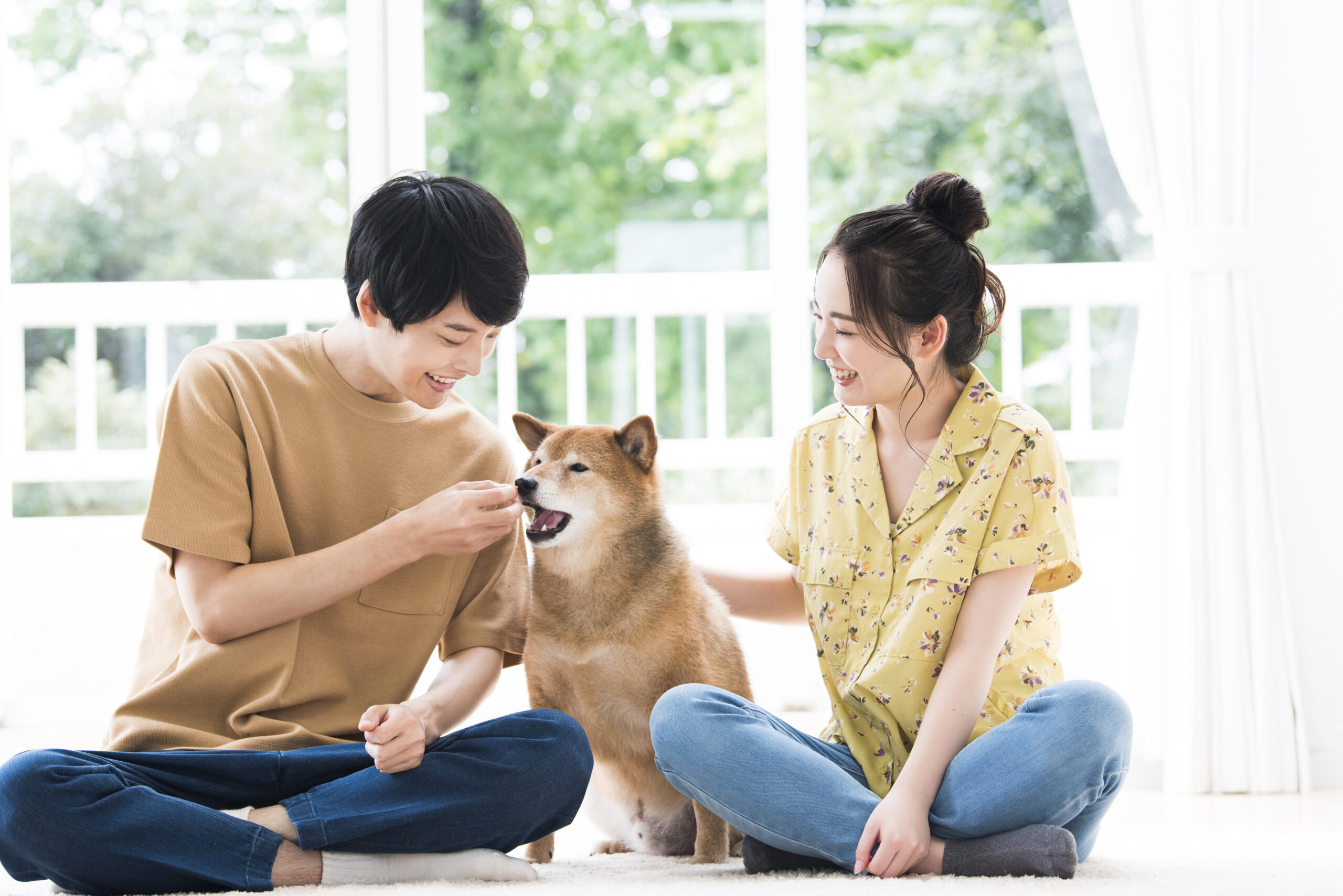 【ペットと暮らす】ペットに優しい家づくり　愛犬編