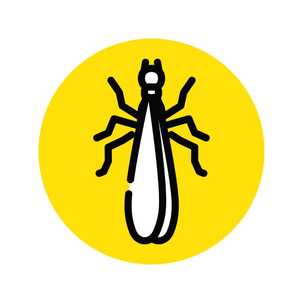 シロアリのイラスト