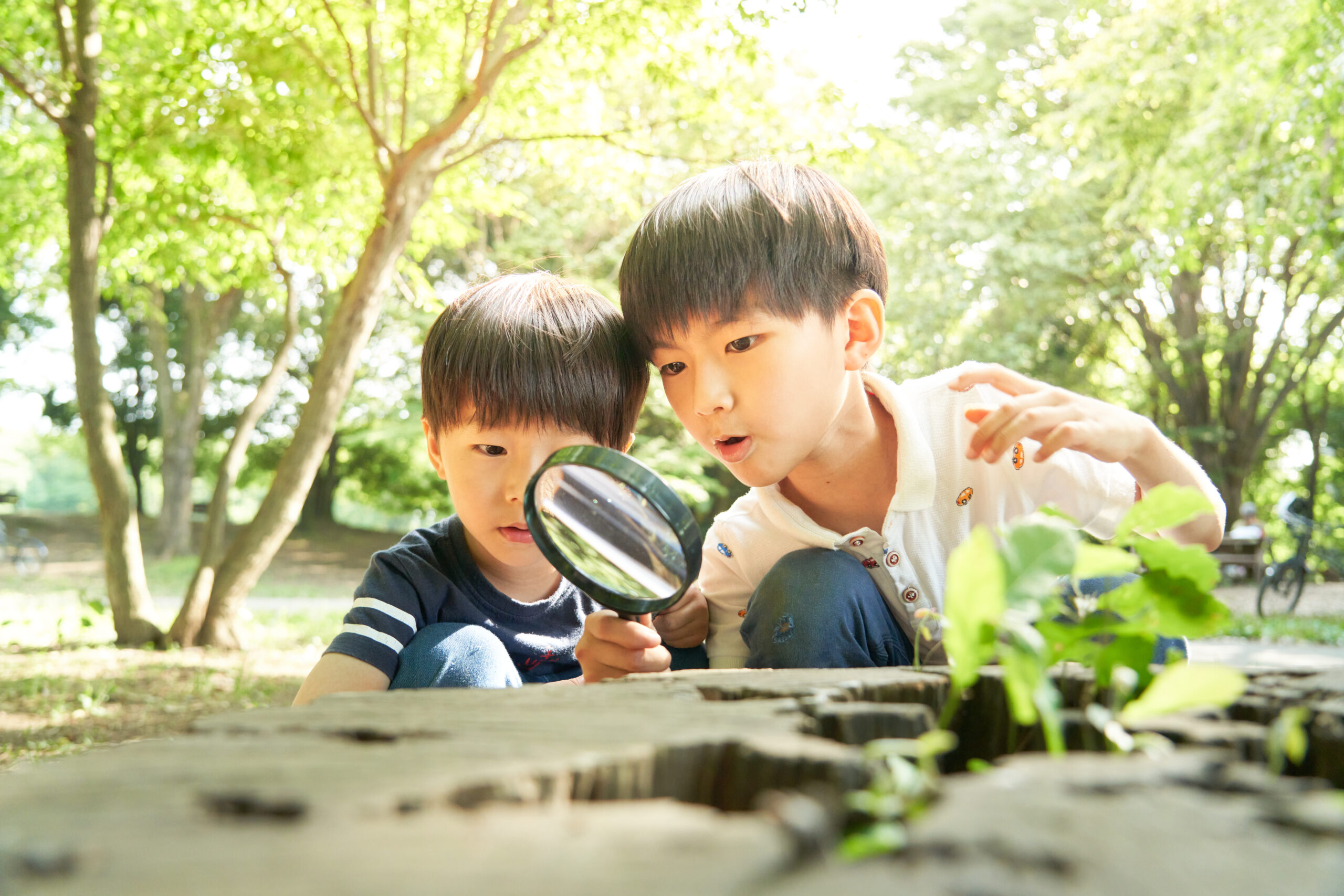 夏休みを無駄にしない！小学生におすすめの過ごし方10選