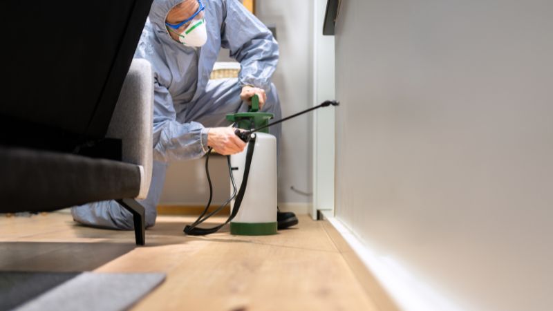 シロアリ　駆除方法