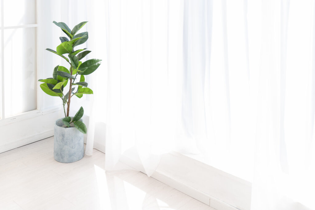 フォーカルポイント